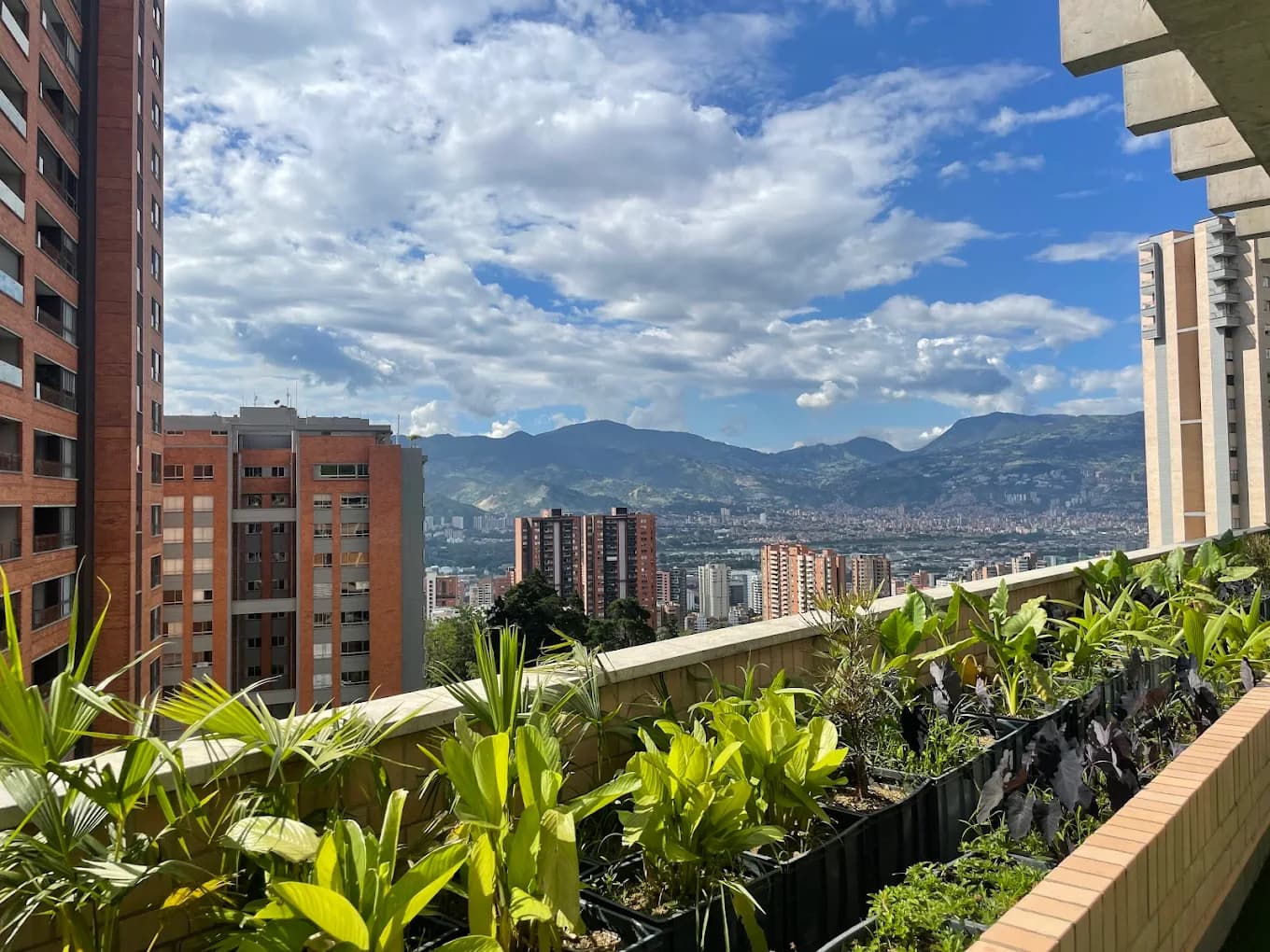 Imágen del proyecto