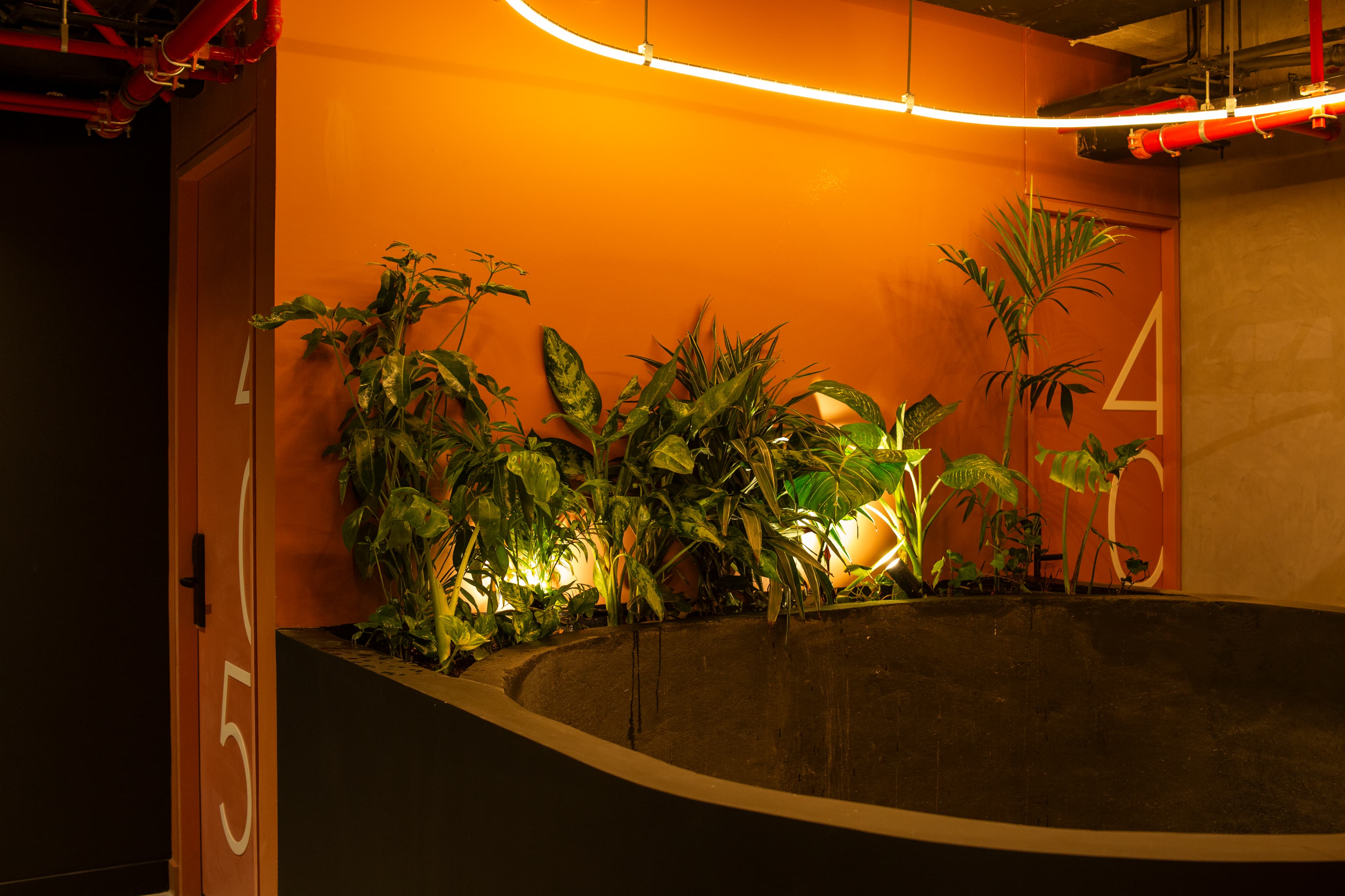 Imágen del proyecto