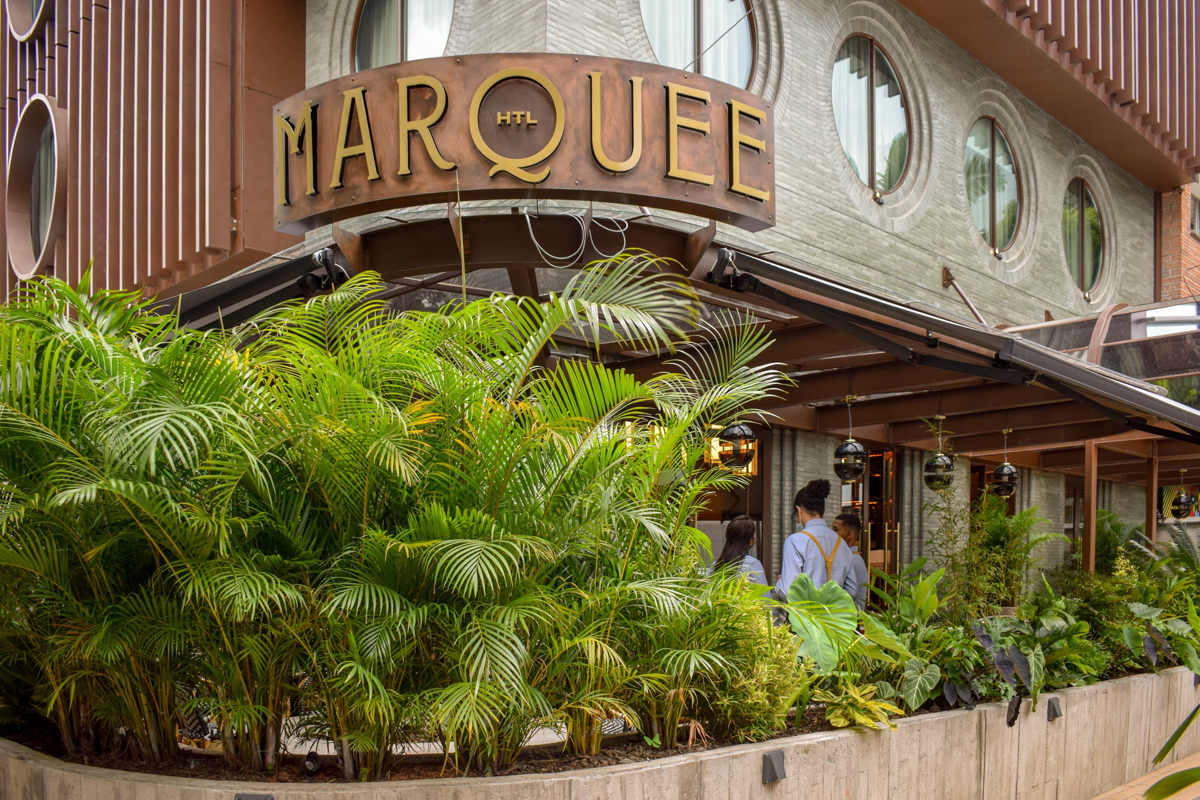 Imágen del proyecto