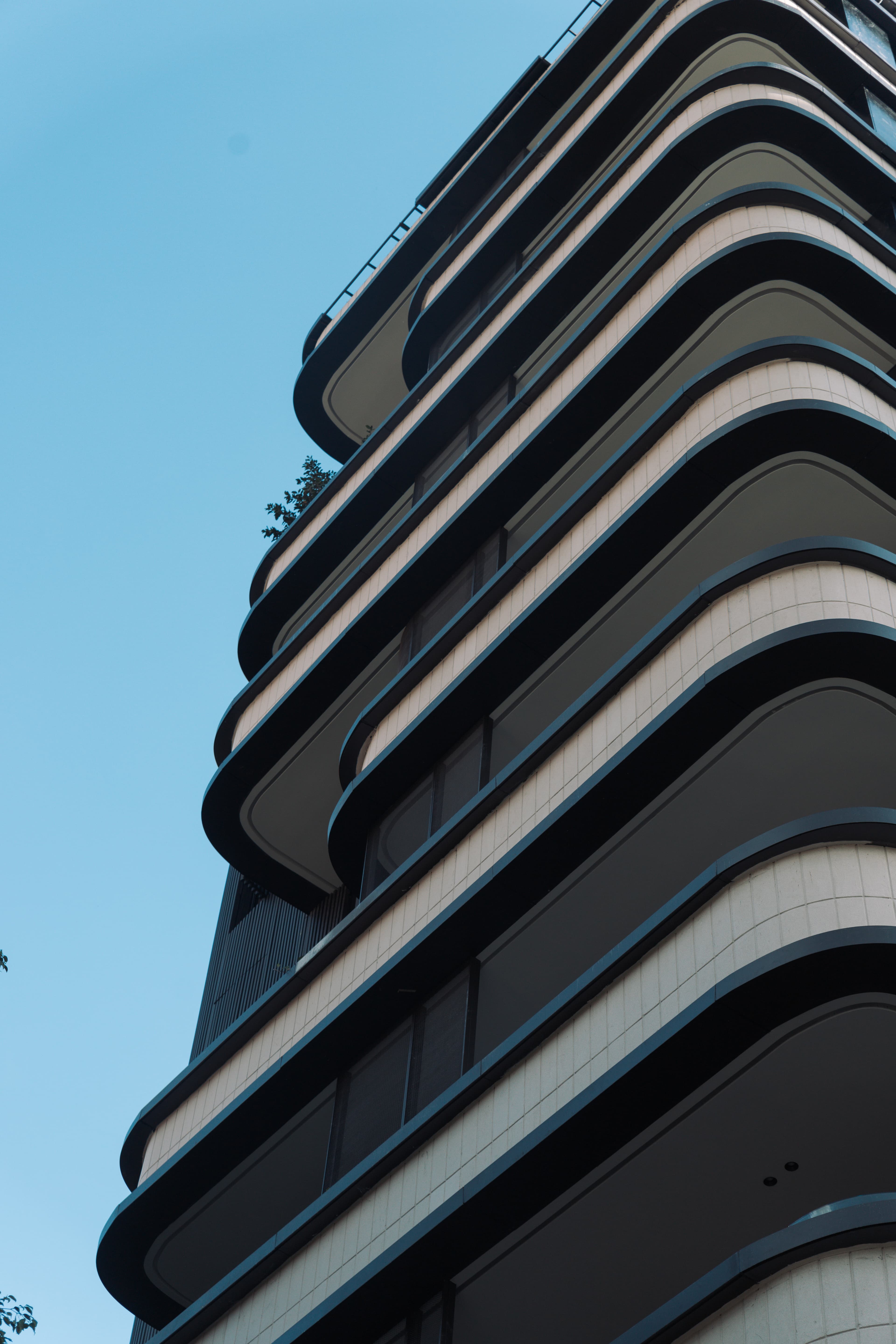 Imágen del proyecto